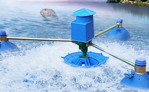 水產(chǎn)養(yǎng)殖